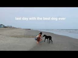 last day with the best dog ever