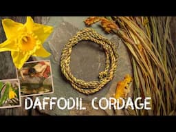 Daffodil Cordage | Cordage from foraged fibres | Ep 10
