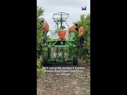California farmers are transforming agriculture with new technology