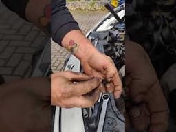 Ford/Peugeot/Citroen 1.6 hdi Injector oil seal