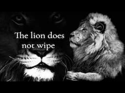 The Lion Does Not Wipe - [SHMEME REVIEW] 👏👏#1