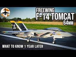 It's Not Bad, but You... Might Be - Freewing F-14 64mm 1 Year Review
