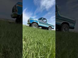 Do you like the stripes on this Bronco? Full video ☝️☝️☝️