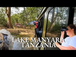 Lake Manyara Safari in Tanzania - Solo Traveler & Budget Friendly