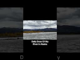 Daily Dose Of My River In Alaska #enigmaticgwichin #alaska #motivation #shorts