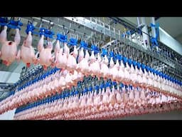 Inside The Food Factories That Produces At Crazy Speed — 24/7 High-Speed Food Production!