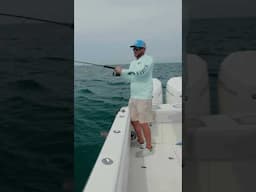 Rush & Jared search for Cobia! 👀
