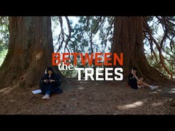 Between the Trees