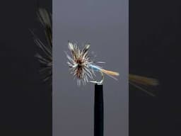 The Fly Every Angler Should Know