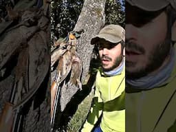 Un día para recordar