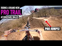 RIDING A NEW PRO TRAIL AT BIKEPARK WALES!