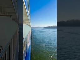 Is this the perfect beginner river cruise? #cruise #shorts