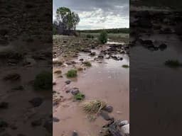 ARIZONA RECORD RAINFALL CREEKS AND STREAMS ON OUR 4O ACRES FLOOD #shorts #arizona #flood #offgrid