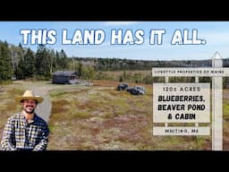 Off-Grid Paradise? This Maine Property Has A Blueberries, A Cabin, AND Two Ponds! | ME Real Estate