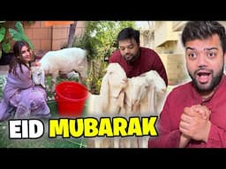 Shippu Ka Last Day 😭 | Bakray Ki Qurbani Khud Ki 🐐 | Eid Mubarak to All Ducky Bhai Army ❤️