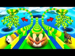 SHINCHAN AND FRANKLIN FOUND A PORTAL FUNNEL WATER SLIDE ON HIS ROOF IN GTA 5
