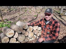 806 Spring Wood Splitting. Elm On the TimberOX Summit Wood Splitter. outdoors.    4K