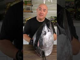 Bluefin Tuna Head Sushi!