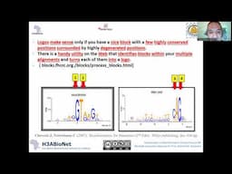 S1L4 Lec4  Interpreting your MSA Using Logos 2025