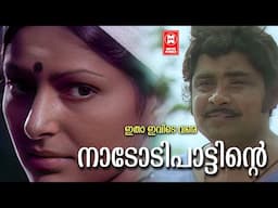 Nadodipattinte | Itha Ivide Vare | Malayalam Song | P jayachandran | Madhu | P Madhuri | G Devarajan