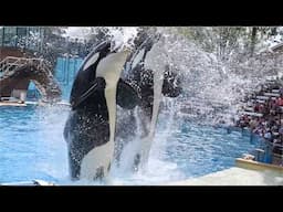 Orca Encounter (Full Show) - SeaWorld Orlando - April 1, 2025