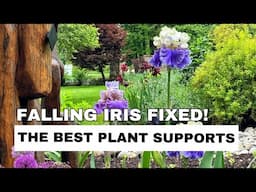 Quick Fix for Floppy Bearded Irises + My Go-To Plant Supports (For Irises & Peonies!)