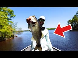 23 LBS - SIGHT FISHING SHALLOW BASS!!! (NO SCOPE)