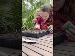Starting Vegetable Seeds for the Cool Season Today (Zone 7)!