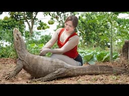 Catching a Komodo Dragon & Catch Fish to Raise Dragons | Catching Fish to Raise Dragons