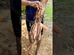 I Caught A Crayfish The Size Of My Arm!  #fishing #camping #offroad