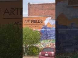 #artfields #southcarolina #vlog #shorts #shortsvideo #homestead #homesteading  #gardening #viral