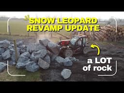 Snow Leopard Paddock Revamp Update