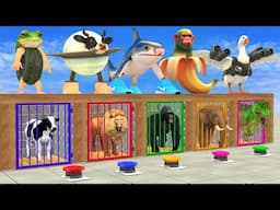 Guess The Italian Brainrot Animals with Cow Gorilla Elephant Lion Dinosaures Shark Escape Cage Chall