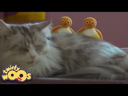 Yumuşak | Twirlywoos Türkçe | Çocuklar için Videolar