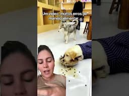 Um vídeo, muitos erros