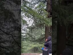Pranayama in mountains 🧘