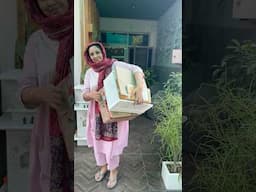 ये भी मेरे बच्चे ही हैं .Mini vlog  #shorts #ytshorts #garden #plants #summer #minivlog #shortvideo