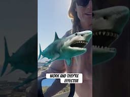 Would you paddle out with a 15ft Great White Shark for $10K?!? #surfing #shark #greatwhiteshark