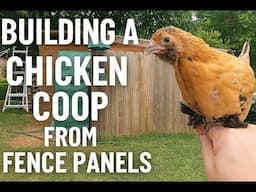 DIY Chicken Coop from Fence Panels | Budget-Friendly Backyard Build