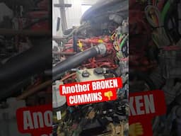 Cummins Diesel WONT START - Electrical Issues Shuts the Whole Truck Down! #cummmins #dieselmechanic