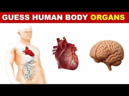 Guess the human body organs | Human body parts quiz | Biology quiz