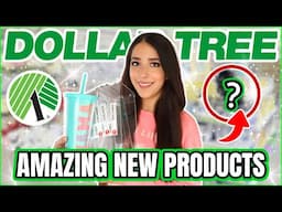 Run to Dollar Tree! 20 Hot April 2025 Finds You Won’t Believe Are $1.25!