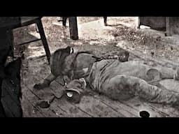 How the Top 7 Outlaws of the Wild West Died?