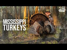 Mississippi Turkeys - Hunting Down South with Lake Pickle and Brad Farris