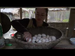 chicken eggs on the farm, harvest vegetables, take care of cats and pigs