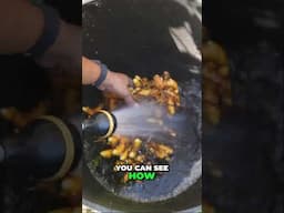 How to Grow & Harvest Organic Turmeric in Containers! 🌱🧡