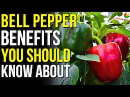 8 Health Benefits of Bell Peppers! | Health and Nutrition of Bell Peppers