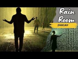 Rain Room Sharjah | it's raining, but you won't get wet