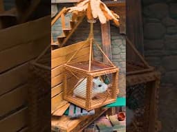 Hamster's Little Nightmares in the Necropolis Maze 🐹 Homura Ham