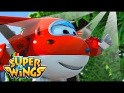 ✈️🌟 Time for Adventure 🌋 Super Wings | Cartoon Compilation